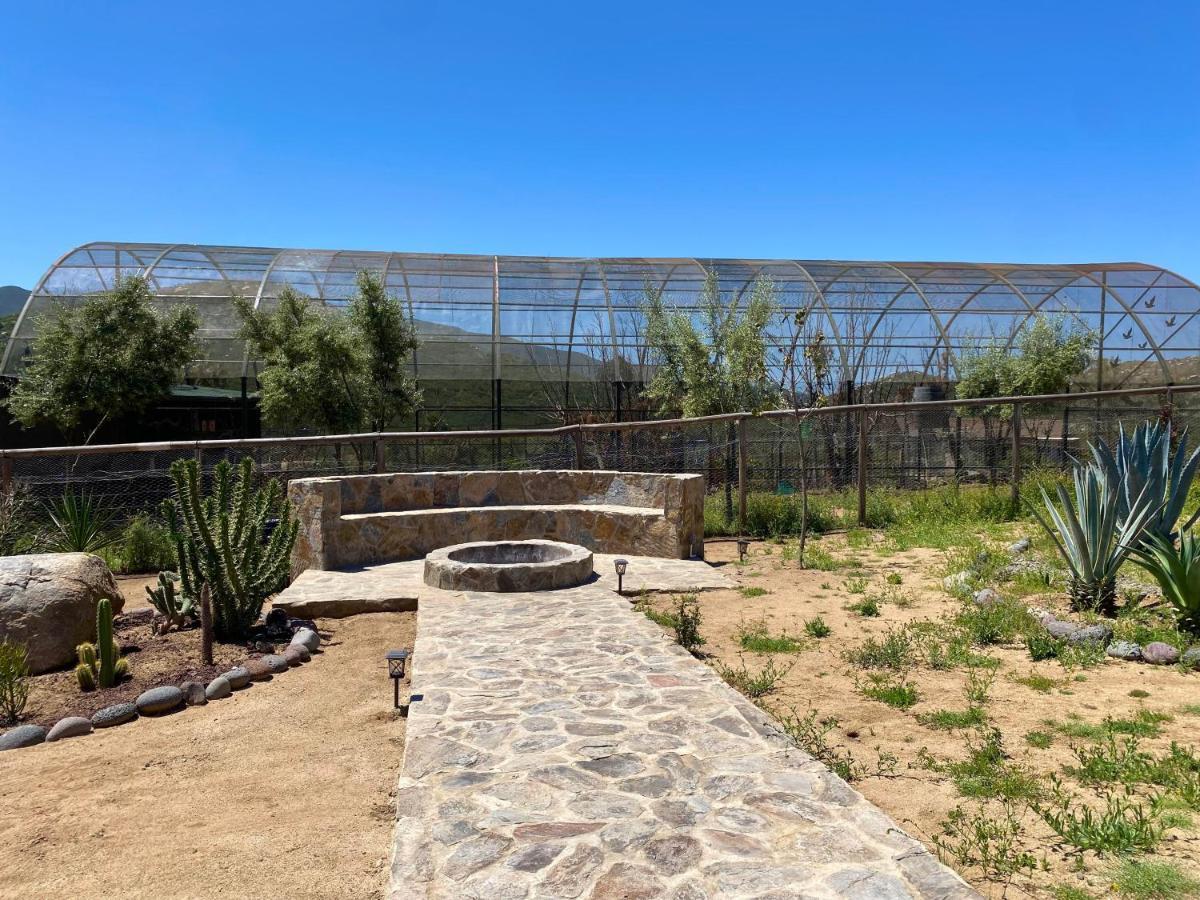 Coquenas Del Valle Valle de Guadalupe Exterior foto