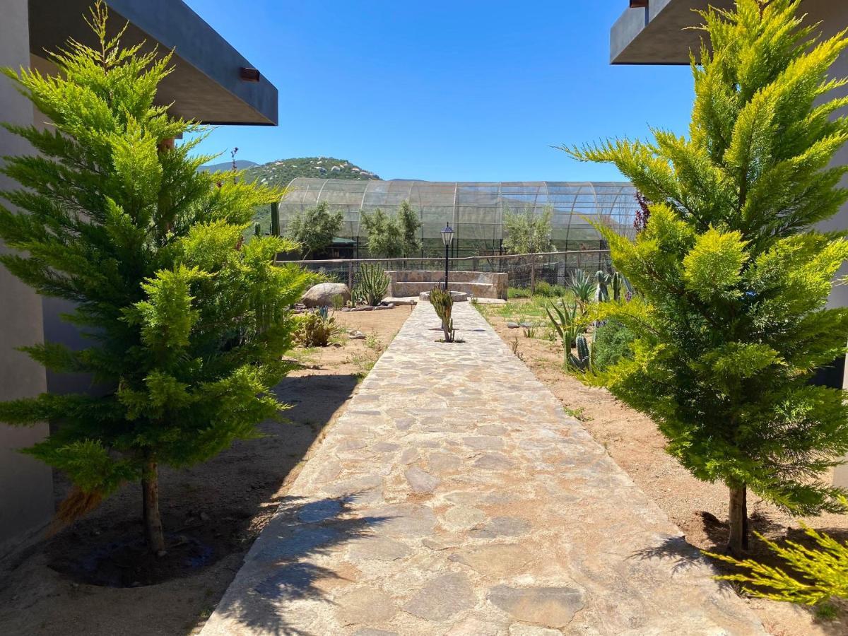 Coquenas Del Valle Valle de Guadalupe Exterior foto